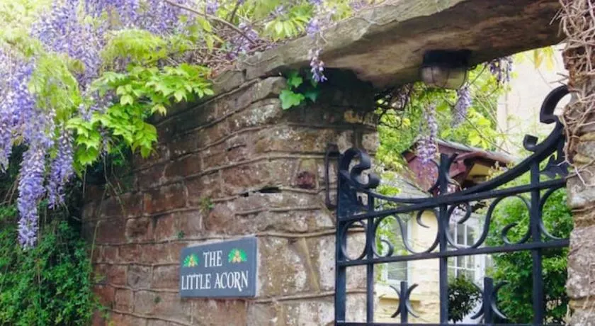 The Little Acorn - Image 1