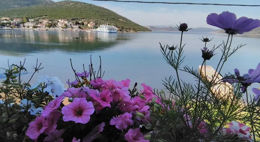 MELI-IOS - Image 1