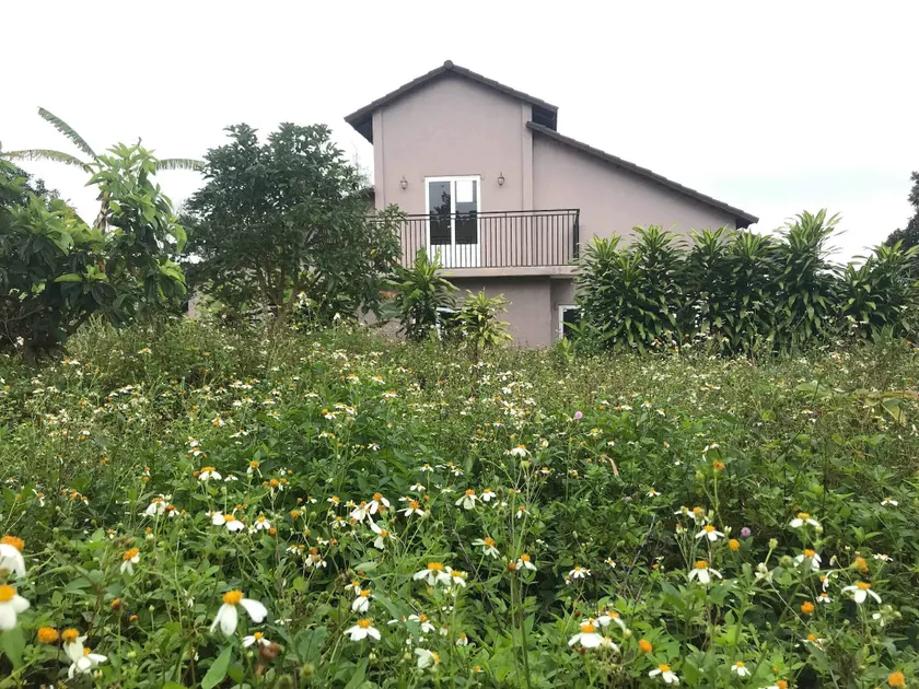 Lavie House - Image 1