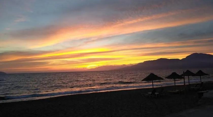 Studio Sunrise - Image 1