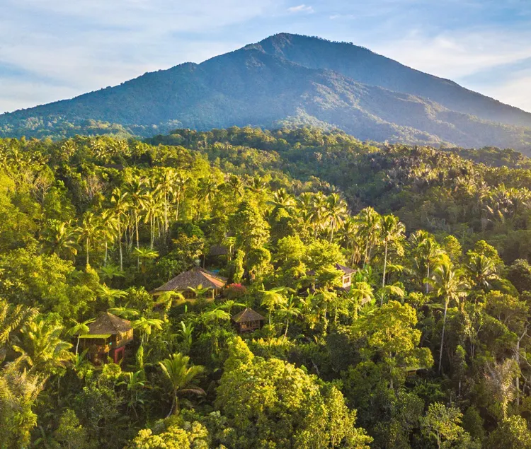 Sarinbuana Eco Lodge - Image 1