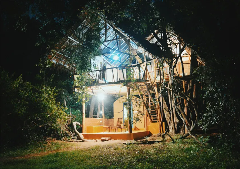 Back of Beyond - Wild Haven - Image 1