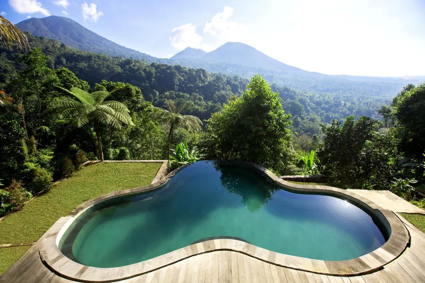 DWan Tea Mountain Side - Image 1