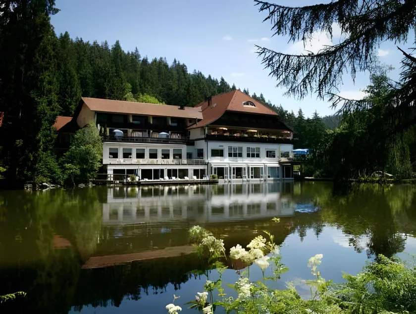 Hotel Langenwaldsee - Image 1