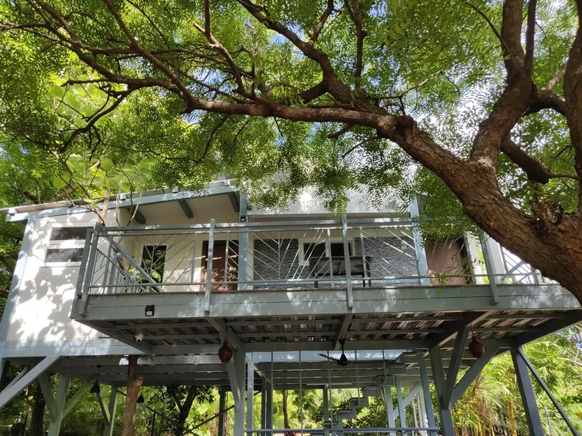 Neem tree retreat - Image 1