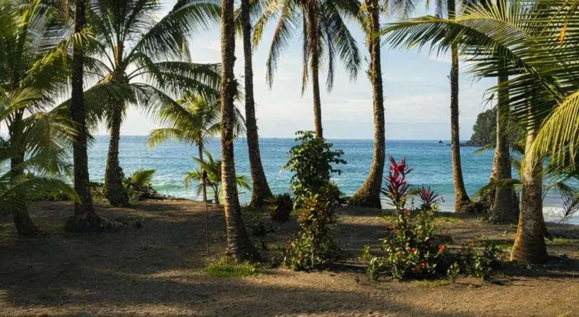 Playa Terküa hotel - Image 1