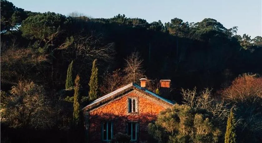 Wine Tourism - Quinta do Ameal - Image 1