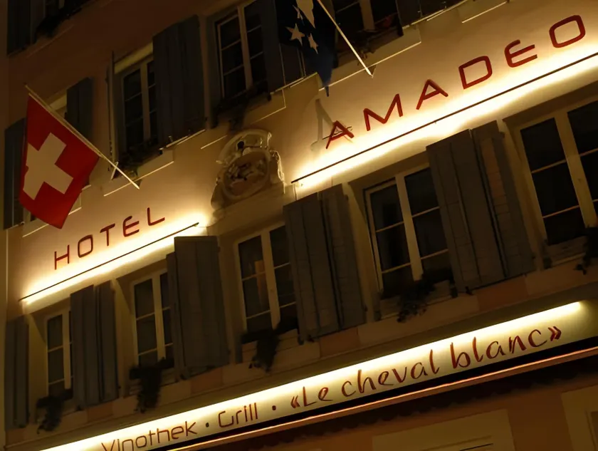 Apart Hotel Amadeo - Image 1