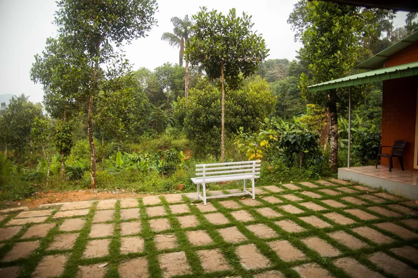 Yedamakky Plantations - Image 1