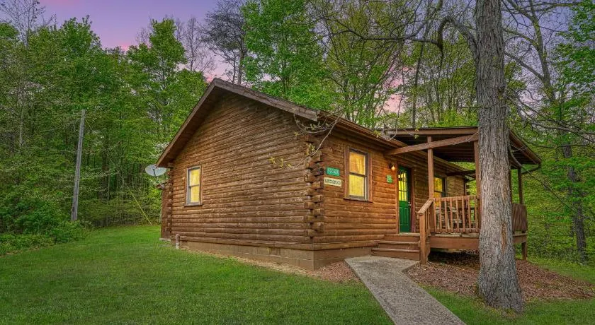 Cabine-Salle de bain privée-Standard-Lincoln Log Cabin - Image 1