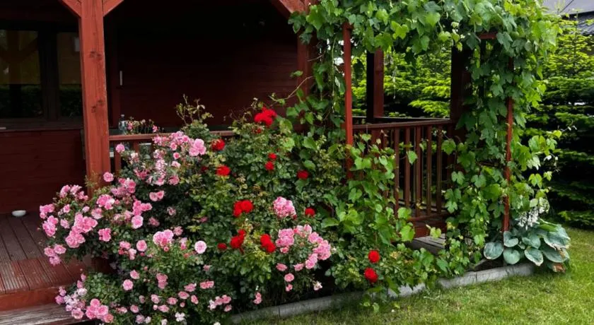 Sabrinka - Image 1