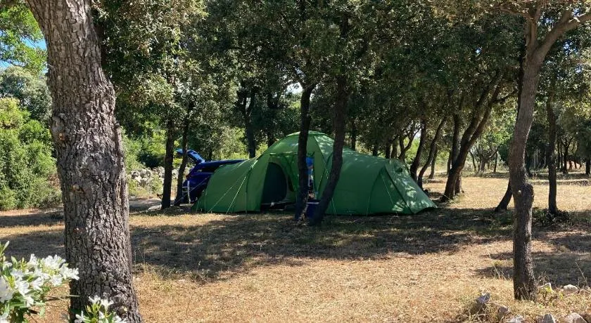 Acampar azúcar para unas vacaciones perfectas - Image 1