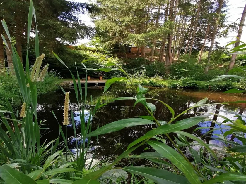 Chalet con griglia, giardino e sauna | Vista sulla natura - Image 1