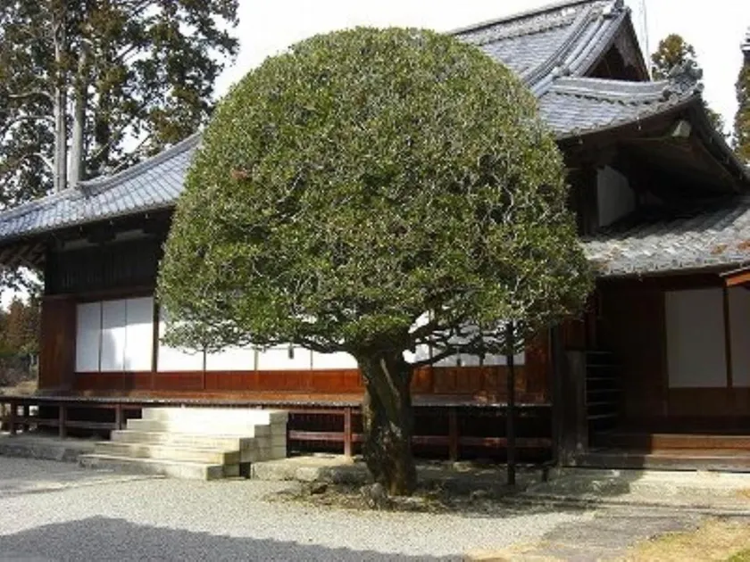 Manpukuan Eisyouji Ryokan - Image 1