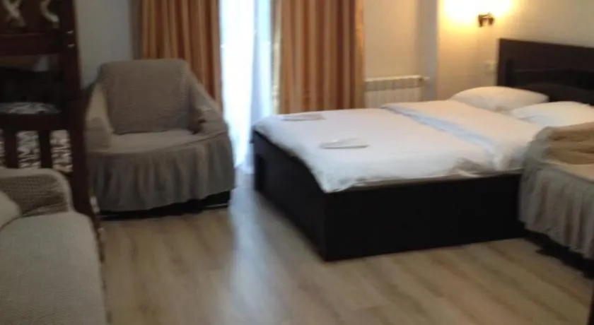 David APT on Bakuriani Orbi Palace - Image 1