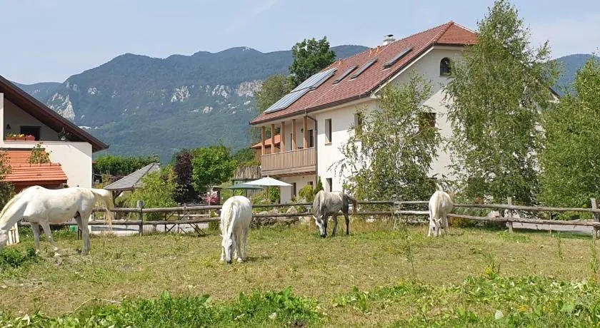 Lipizzaner Lodge Guest House - Image 1