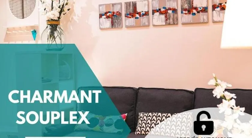 Charming souplex in Paris - Image 1