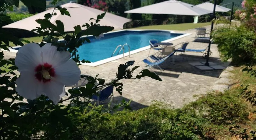 Case in campagna con piscina a Todi - Image 1