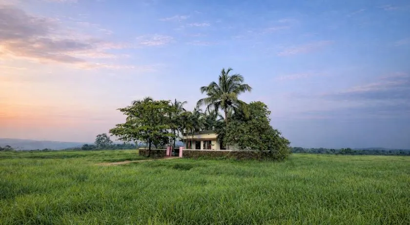 Golden Breeze Bekal - Image 1