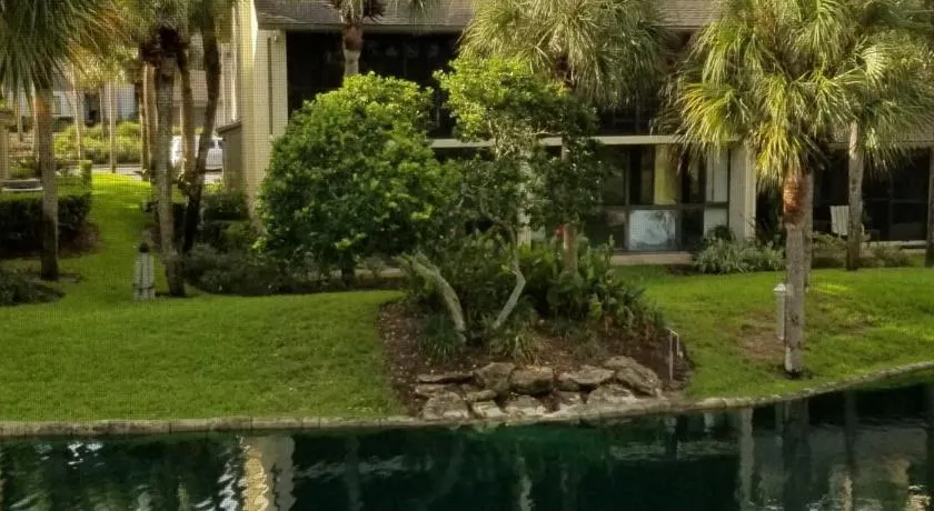 Island Life - Image 1