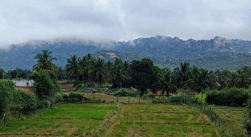 Tusker Trails Farm - Image 1