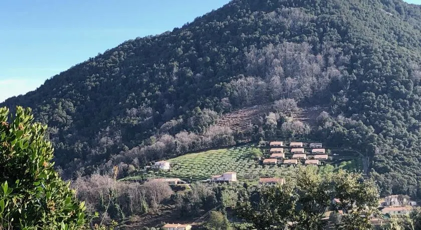 Strada di a cuma - Image 1