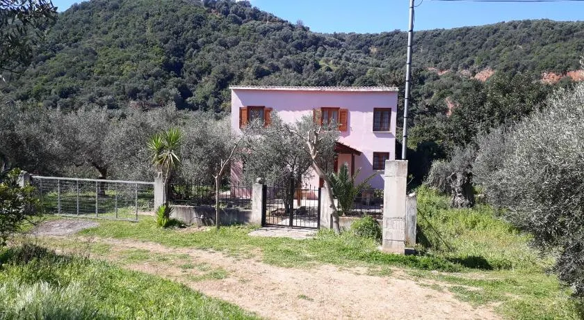 Hidden House in Nature - Image 1