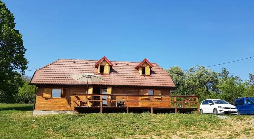 Pet friendly cabin with amazing view - Image 1