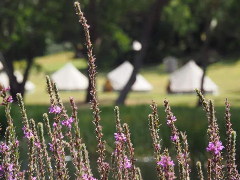 Iluka Retreat Glamping Village & Group Lodge Accommodation - Image 1