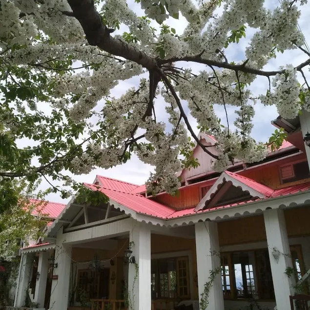 The Wilderness, Narkanda ,Shimla - Image 1