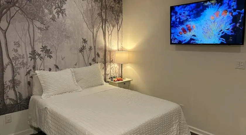1 Bedroom Apartment in DWTN Stamford w Laundry - Image 1