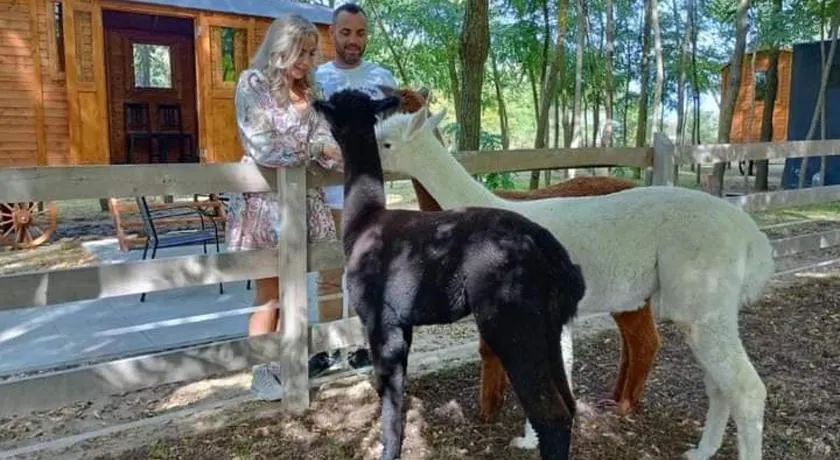 Alpacacamp - Image 1