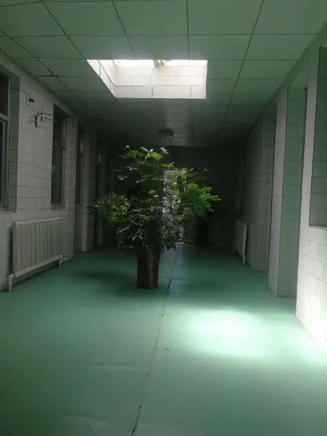 Shunan Hotel - Image 1