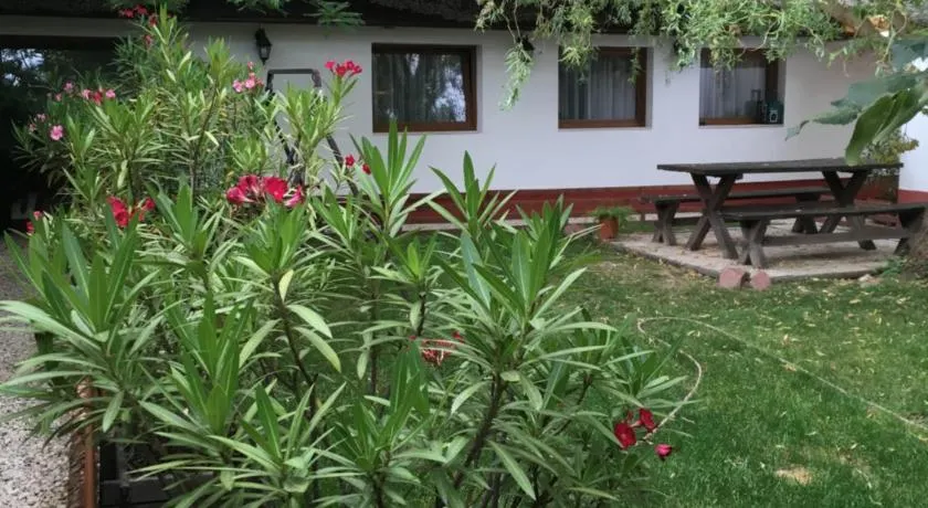 Balatonkenesei Nádfedeles Lovas Vendégház - Image 1