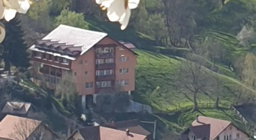 Vila Muntii Bucegi & SPA - Image 1