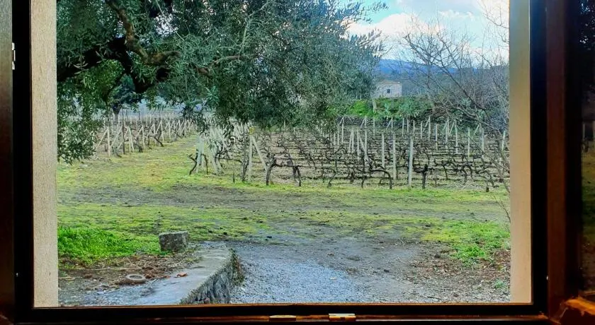 La finestra sul vigneto - Image 1