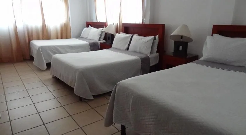 Hotel San Miguel Penjamo - Image 1