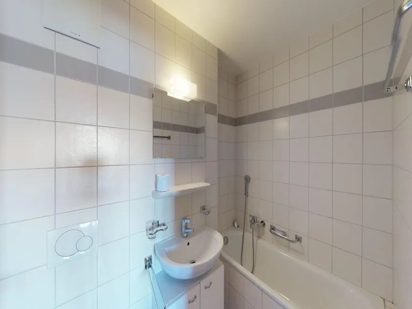 Spacious apartment in Nendaz - Image 1