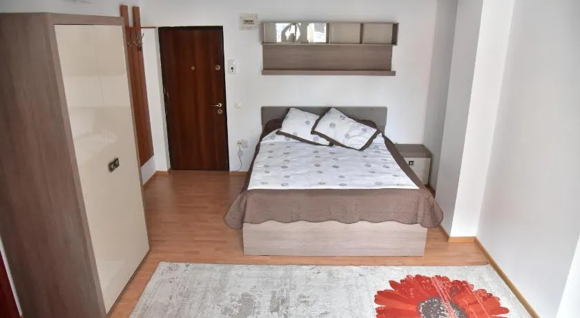 Apartament Frunzei - Image 1