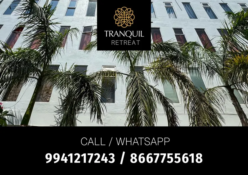 Tranquil Retreat Auroville - Image 1