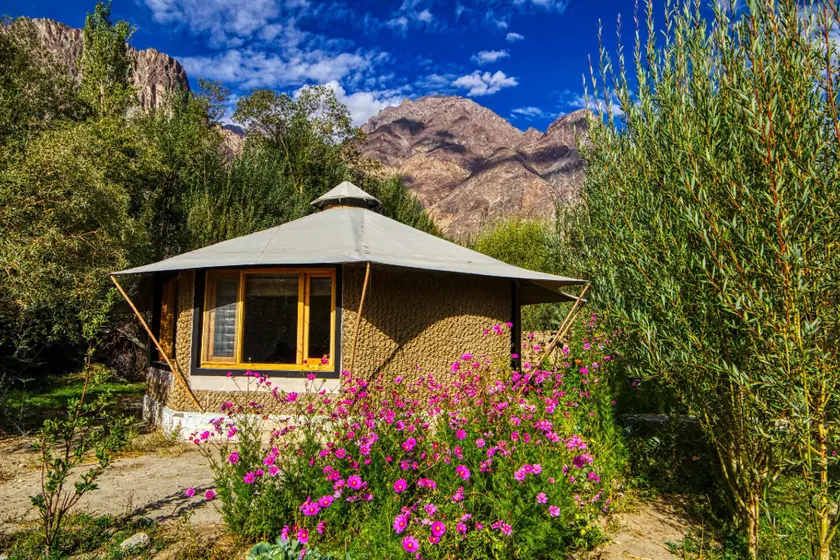 Chalet Seabuckthorn - Hunder - Image 1