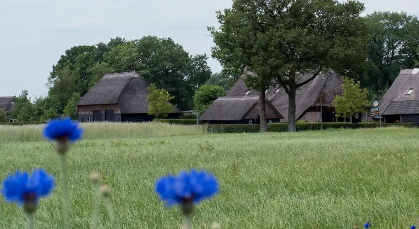 Gastenverblijf Lheederhof Lodges in monumentale boerderij - Image 1