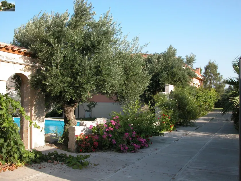 Villa Despoina in Malades - Image 1