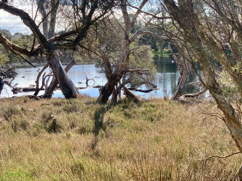Lake Edge Retreat - Image 1