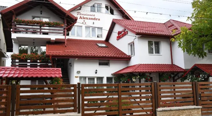 Pensiunea Casa Alexandra - Image 1