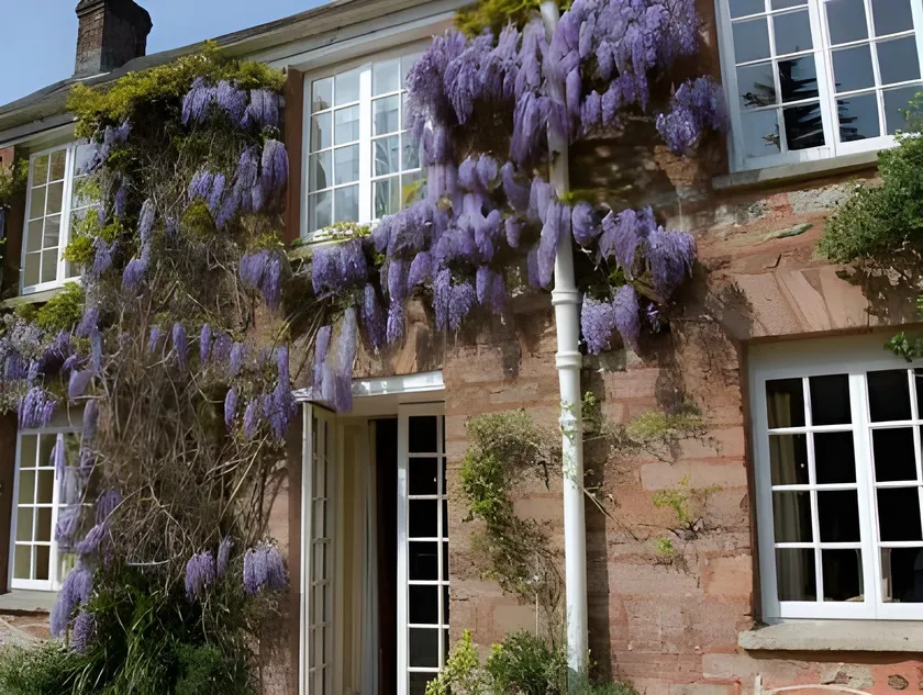 Boscundle Manor - Image 1