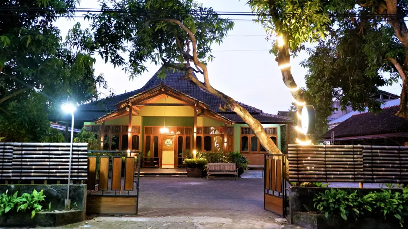 Sleepy Raccoon Hostel - Image 1
