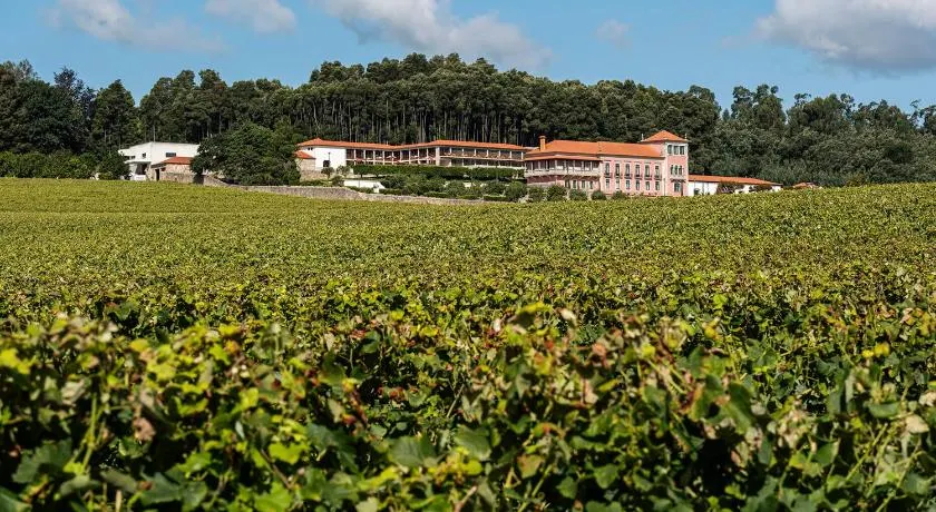 Solar de Vila Meã - Image 1
