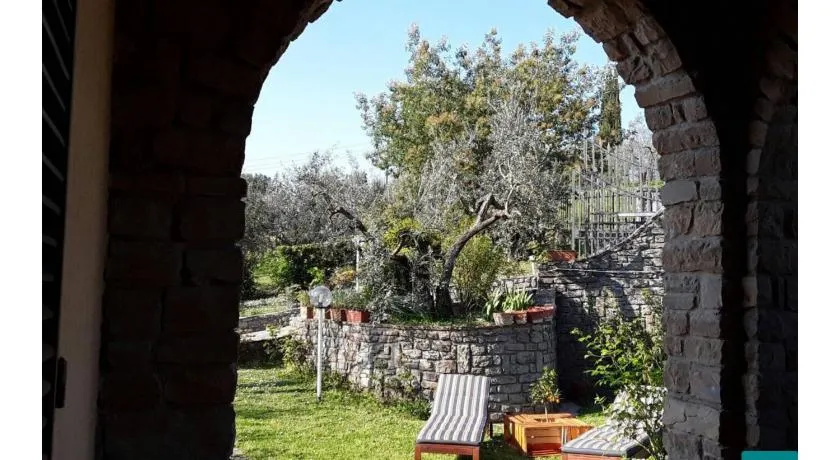 La collina degli olivi - Image 1