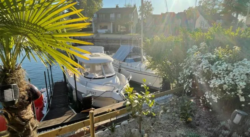 Port Ripaille, les grèbes - Image 1